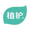 植护官方旗舰店纸品生活