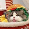特.