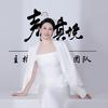 婷姐｜情绪合伙人11.11-12郑州峰会