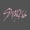 StrayKids_zone