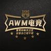 AWM电竞