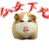 猪妞来拆三国
