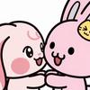 胖兔日记🩷