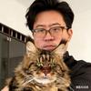 马司令的缅因猫