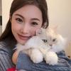 豆豆超可爱