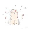 赵露思