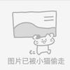 下辈子再也不追了