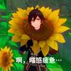 甜甜花菜鸡