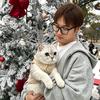小小杨的养猫日记