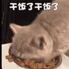 栩华华