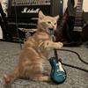 来点music