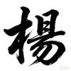 岁月老杨