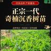 浓香友园林