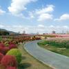 Owen旅行录