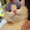 🌈JongRed❤ HYNN흰