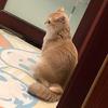 噜啦啦实验室