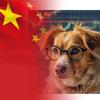 小Z财经笔记