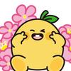 豆芽日记
