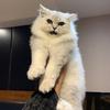 覃先生