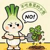 不吃香菜的小葱