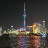 小九鱼