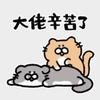 Npd研究院周院长