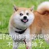 老子游戏人生