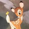 小鹿🦌