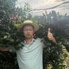 茹师说甘平