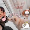 疯了桂宝