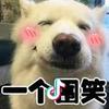 胡小盼