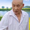 农业植保/刘老头