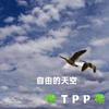 TPP-自由的天空01