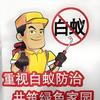 消杀白蚁防治许师傅