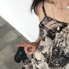 叫大王的小刘