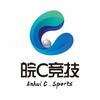 皖C竞技（元一文化传媒