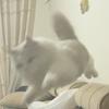 铁头DIY工作室