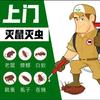 四害消杀