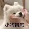 屁屁管住嘴