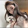 美洋洋