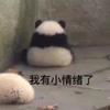 鹌小鹑
