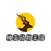神奇动物王国