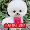 不喜欢我的人可以退出世界