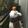 春取取