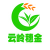 云岭穗金