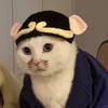 猪八咪🐷
