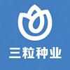 三粒种业