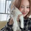 小河马的养猫日记