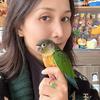 不会游泳的鳗鱼🦈