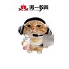 福州诺艺教育